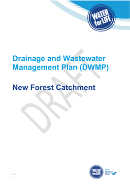 (DWMP) New Forest Catchment