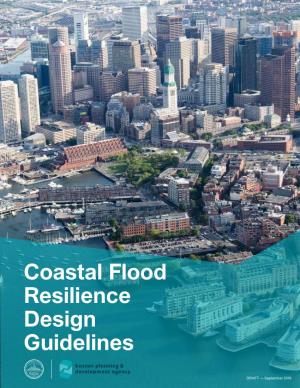 Coastal Flood Resilience Design Guidelines