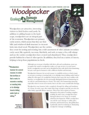 Woodpecker Damage Ecology & Management