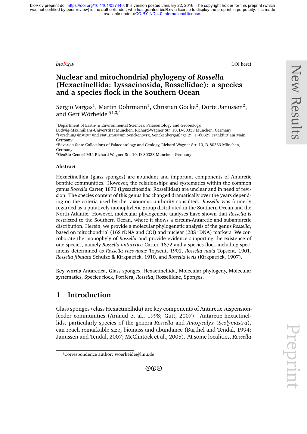 Nuclear and Mitochondrial Phylogeny of Rossella