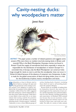 Cavity-Nesting Ducks: Why Woodpeckers Matter Janet Kear