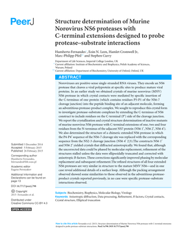 Structure Determination of Murine Norovirus NS6 Proteases with C-Terminal Extensions Designed to Probe Protease–Substrate Interactions