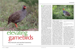 New Francolin and Spurfowl Taxonomy