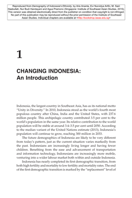 Demography of Indonesia's Ethnicity