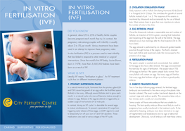 In Vitro Fertilisation (Ivf)