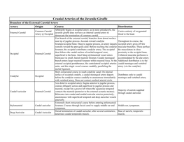 Cranial Arteries of the Juvenile Giraffe