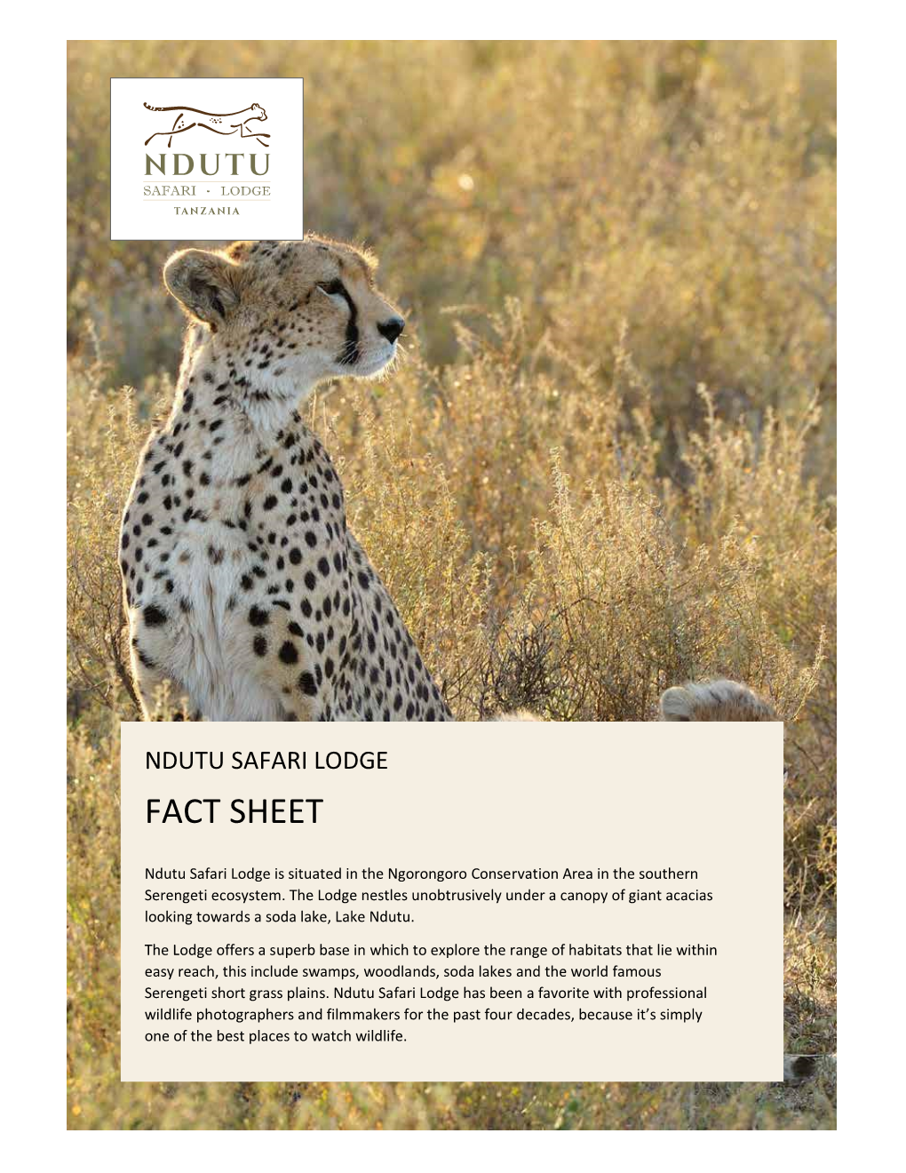 Ndutu Safari Lodge Fact Sheet