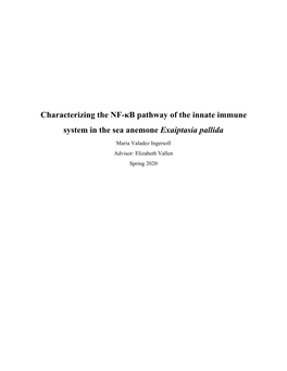 Characterizing the NF-Κb Pathway of the Innate Immune System in the Sea Anemone Exaiptasia Pallida