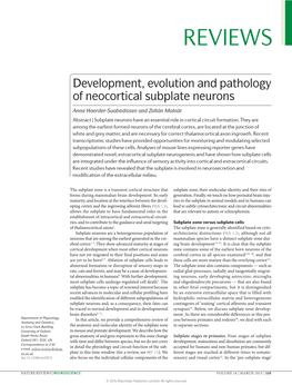 Development, Evolution and Pathology of Neocortical Subplate Neurons