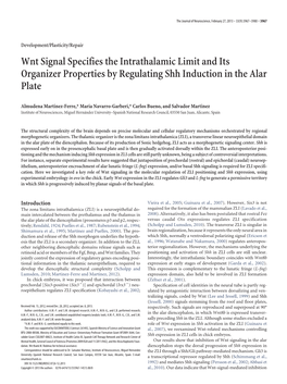 Wnt Signal Specifies the Intrathalamic Limit and Its Organizer Properties by Regulating Shh Induction in the Alar Plate