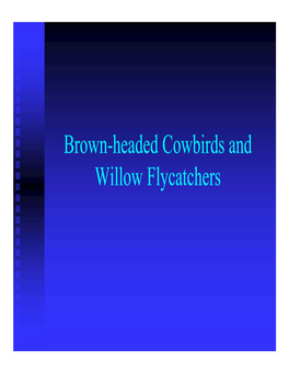 Brown-Headed Cowbirds and Willow Flycatchers