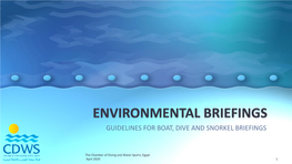 Environmental Briefings