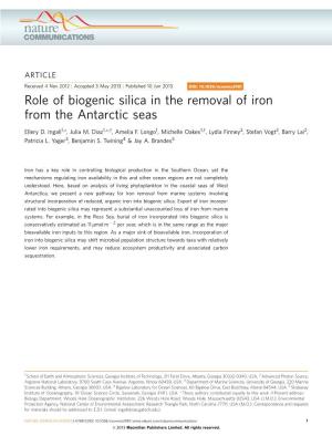 Role of Biogenic Silica in the Removal of Iron from the Antarctic Seas