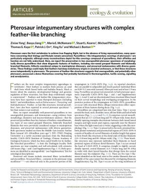 Pterosaur Integumentary Structures with Complex Feather-Like Branching