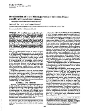 Identification of Folate Binding Protein of Mitochondria As Dimethylglycine Dehydrogenase (Flavoprotein/Sarcosine Dehydrogenase/Tetrahydrofolate) ARTHUR J
