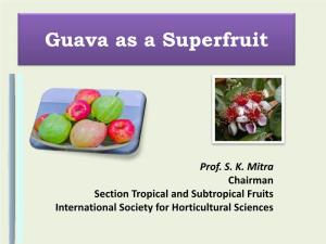 Guava As a Superfruit
