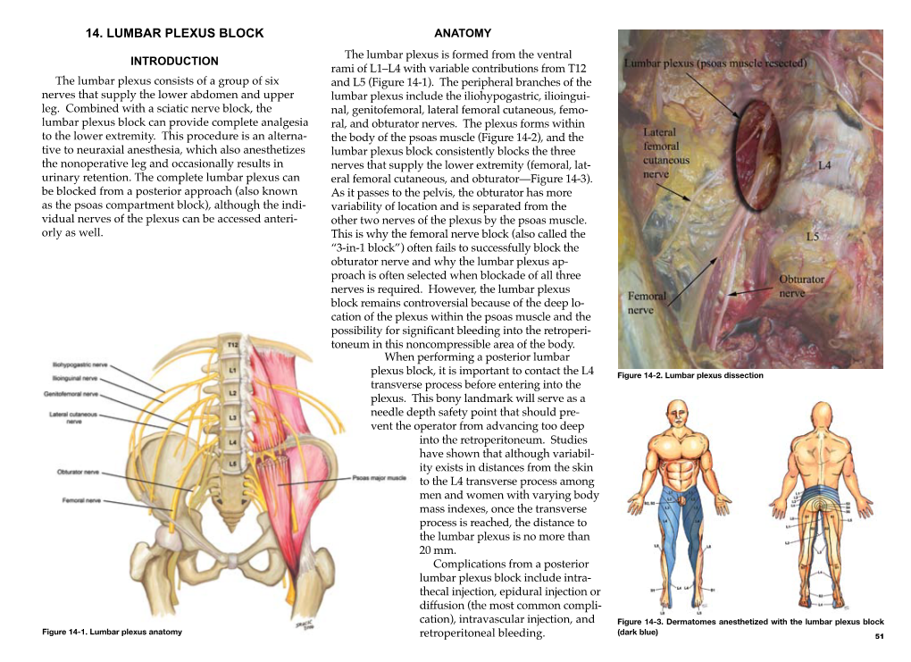 Lumbar Plexus Block Anatomy DocsLib