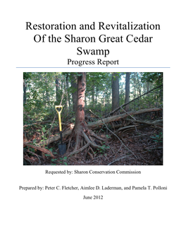 Sharon GCS Progress Report 30 June 2012 Table of Contents