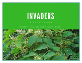 What Are Invasive Plants?