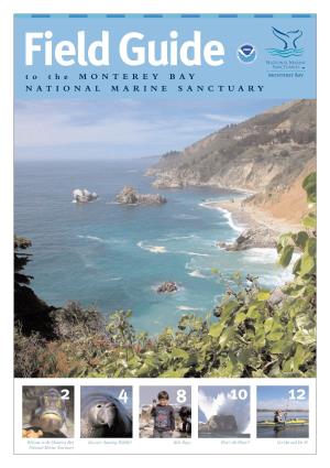 Field Guide to the MONTEREY BAY NATIONAL MARINE SANCTUARY