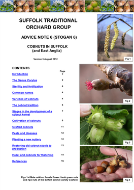 Notes on the Cultivation of Hazel, Cobs and Filberts