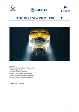 The Deepsea Pilot Project
