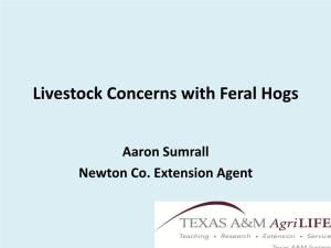 Livestock Concerns with Feral Hogs