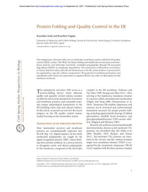 Protein Folding and Quality Control in the ER
