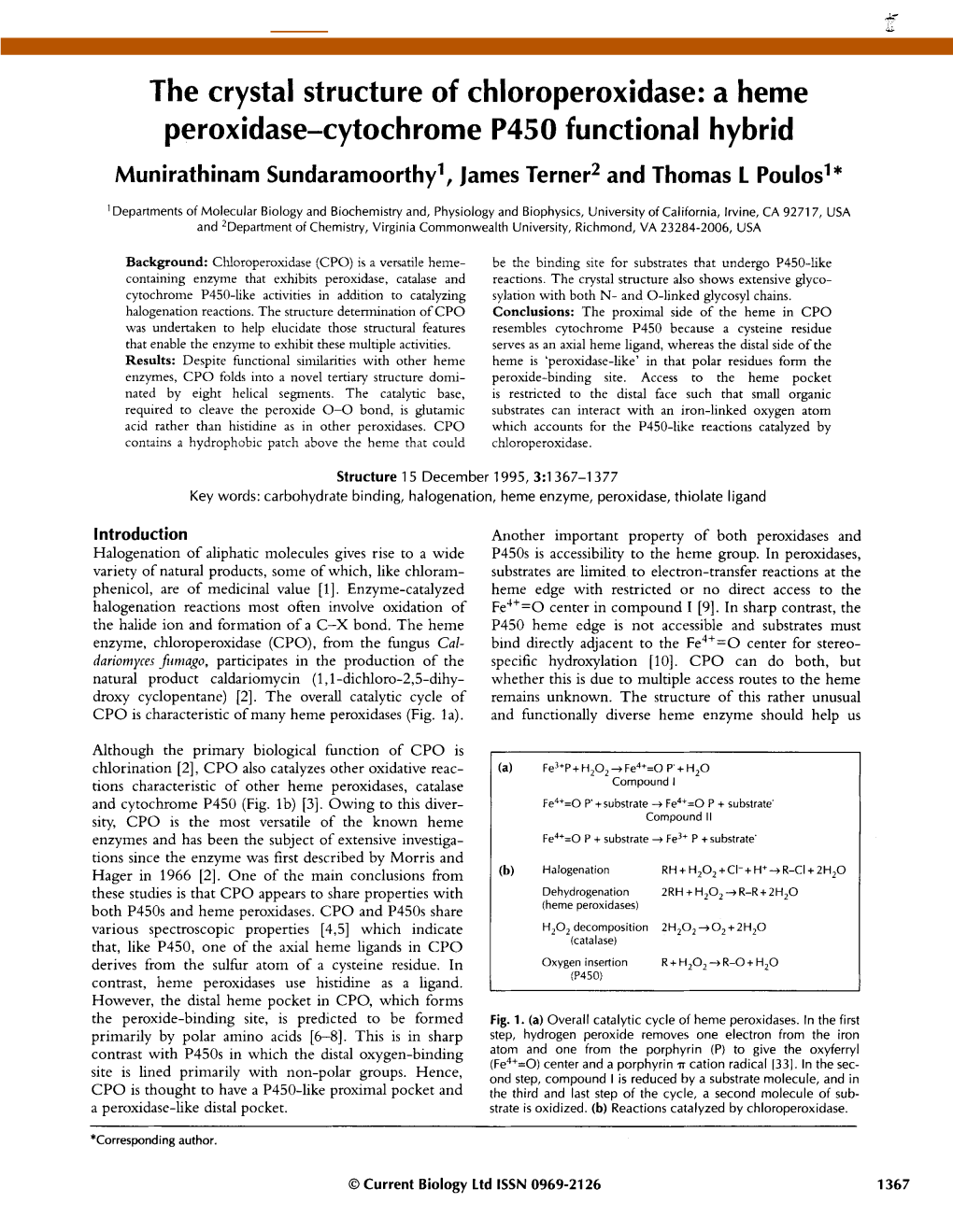 The Crystal Structure of Chloroperoxidase: a Heme Peroxidase-Cytochrome P450 Functional Hybrid Munirathinam Sundaramoorthy', James Terner 2 and Thomas L Poulosl*