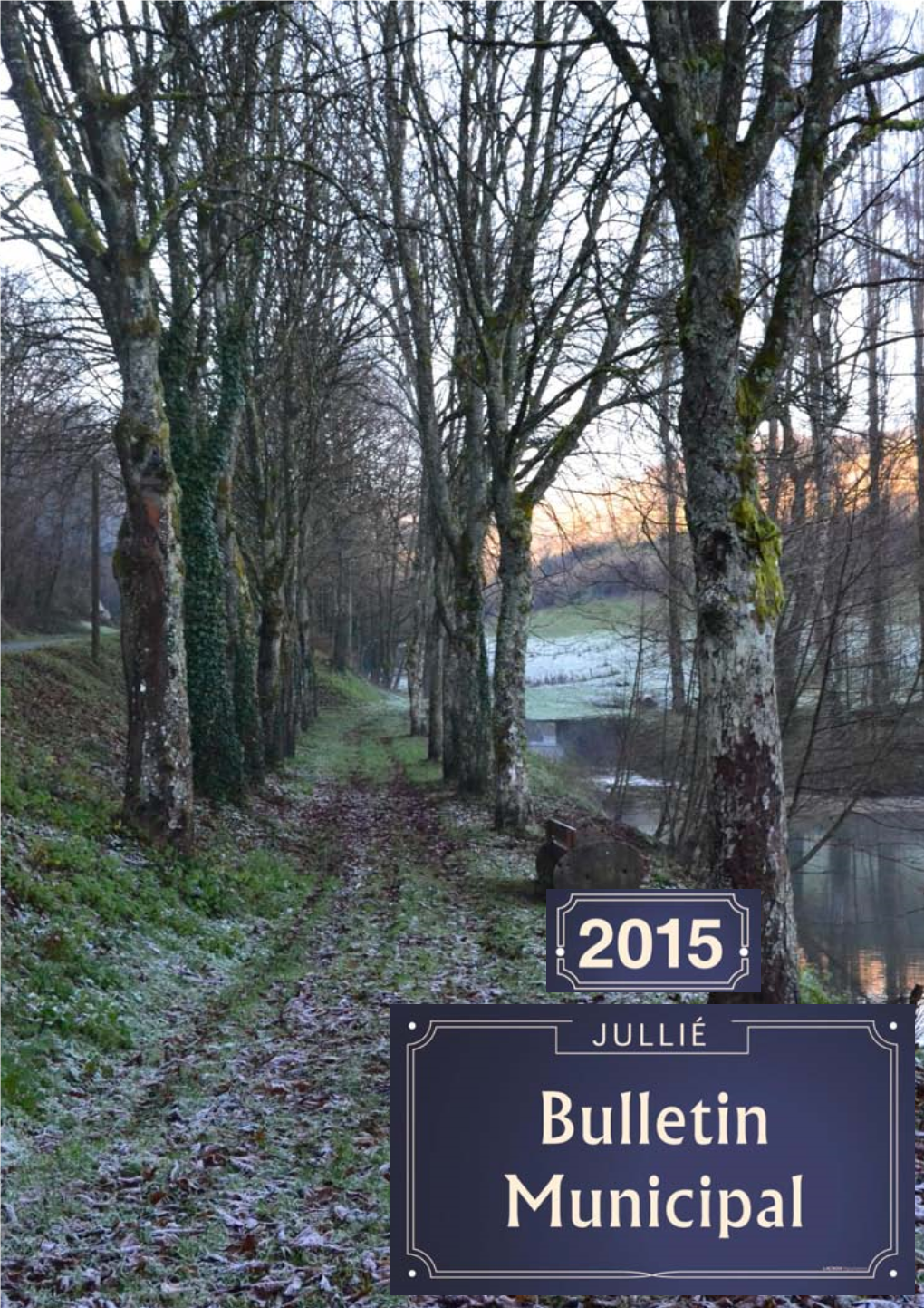 Bulletin Municipal 2015 - 1 - Jullié INFORMATIONS COMMUNALES