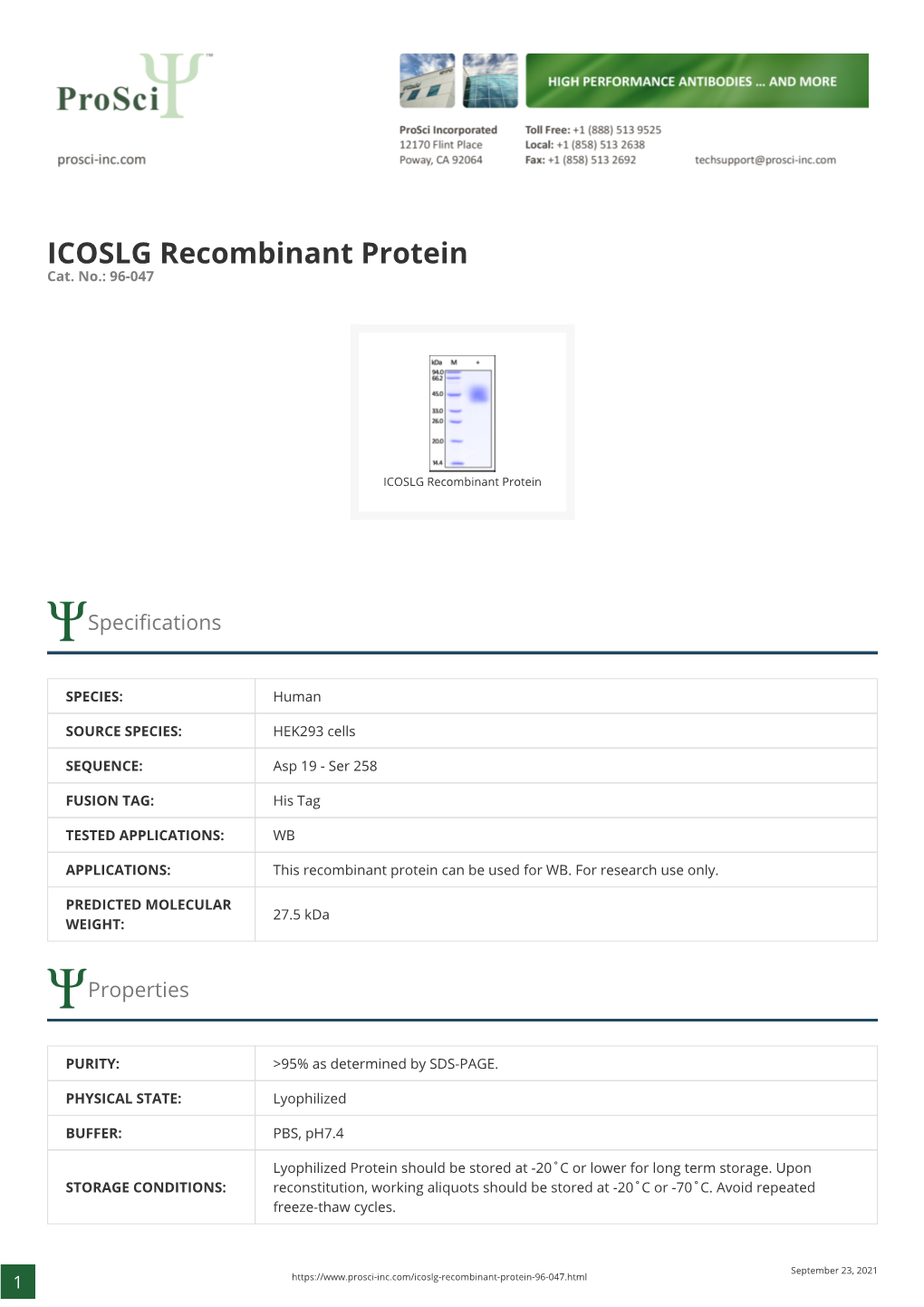 ICOSLG Recombinant Protein Cat