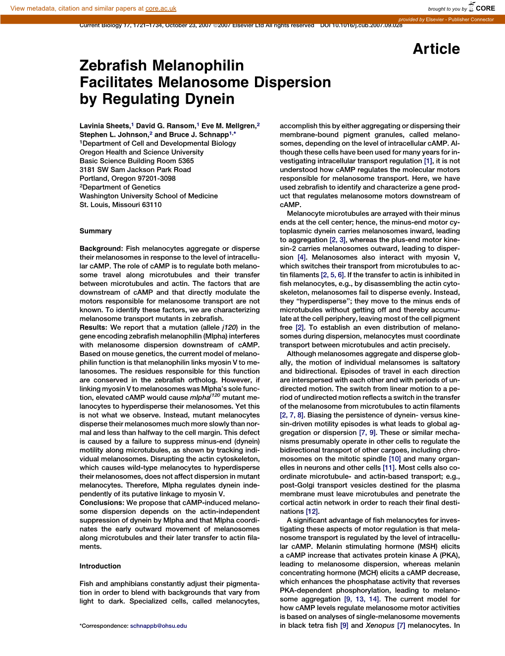 Article Zebrafish Melanophilin Facilitates Melanosome Dispersion