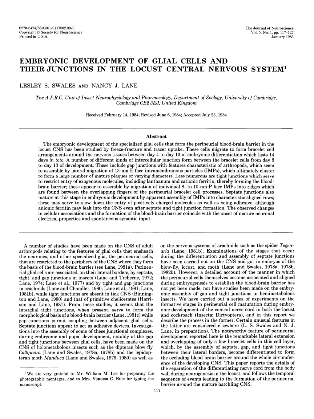 Embryonic Development of Glial Cells and Their Junctions in the Locust Central Nervous System'