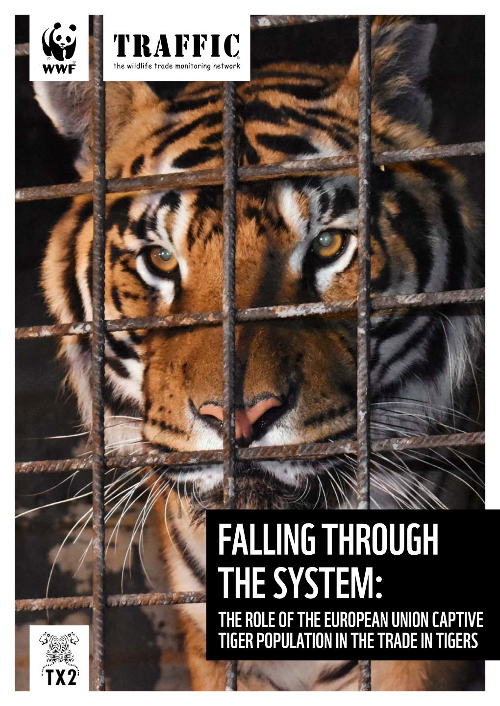 Falling Through the System: the Role of the European Union Captive Tiger