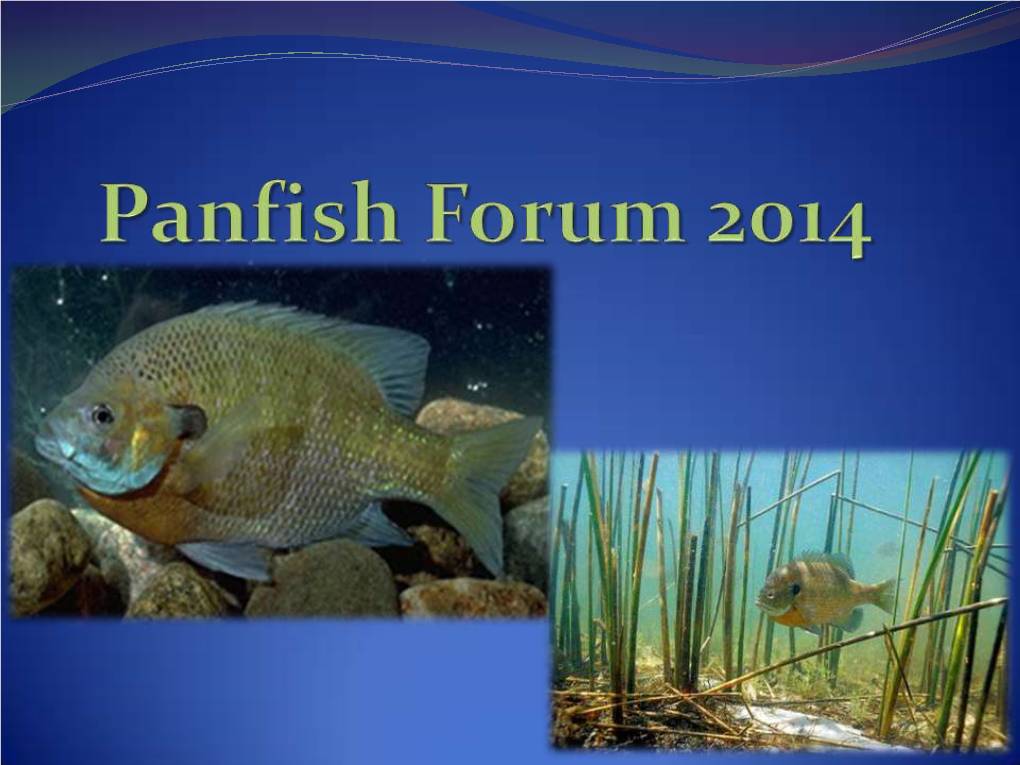 Panfish Forum 2004