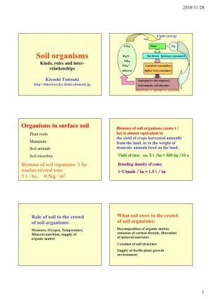 Soil Organisms H O Herbivore Primary Consumer  NH  Kinds, Roles and Inter-   NO  Carnivore (Secondary, Relationships Mineral Higher Level Consumer)