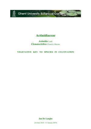 Actinidiaceae