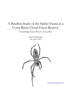 A Baseline Study of the Spider Fauna at a Costa Rican Cloud Forest Reserve Cloudbridge Nature Reserve, Costa Rica