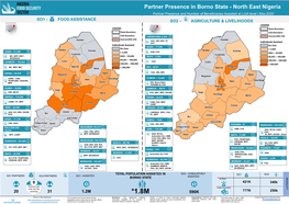 Partner Presence in Borno State