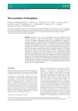 The Evolution of Zoraptera