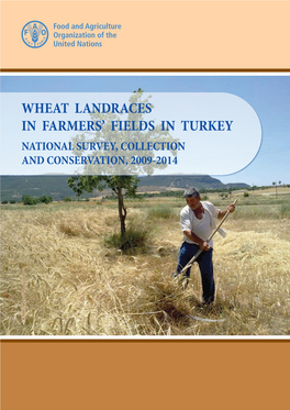 Wheat Landraces in Farmers' Fields in Turkey. National Survey, Collection