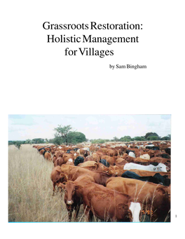 Holistic Management for Villages