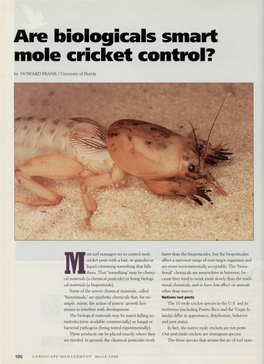Are Biologicals Smart Mole Cricket Control?