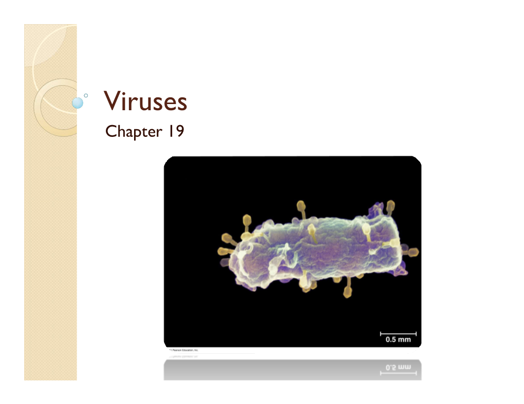 Viruses Chapter 19