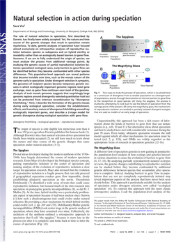 Natural Selection in Action During Speciation