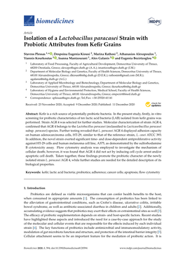 Isolation of a Lactobacillus Paracasei Strain with Probiotic Attributes from Keﬁr Grains