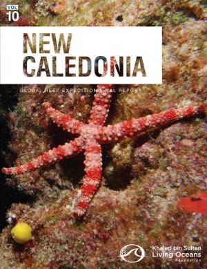 New Caledonia Vol 10