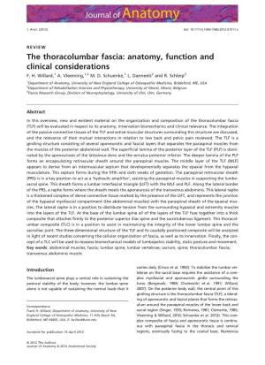 The Thoracolumbar Fascia: Anatomy, Function and Clinical Considerations F