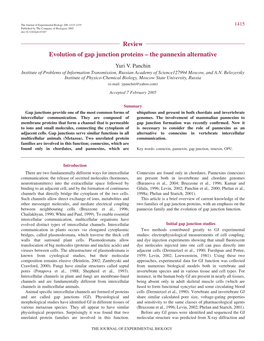 Review Evolution of Gap Junction Proteins – the Pannexin Alternative Yuri V