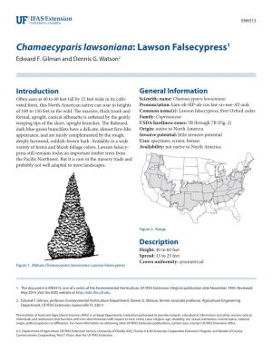 Chamaecyparis Lawsoniana: Lawson Falsecypress1 Edward F